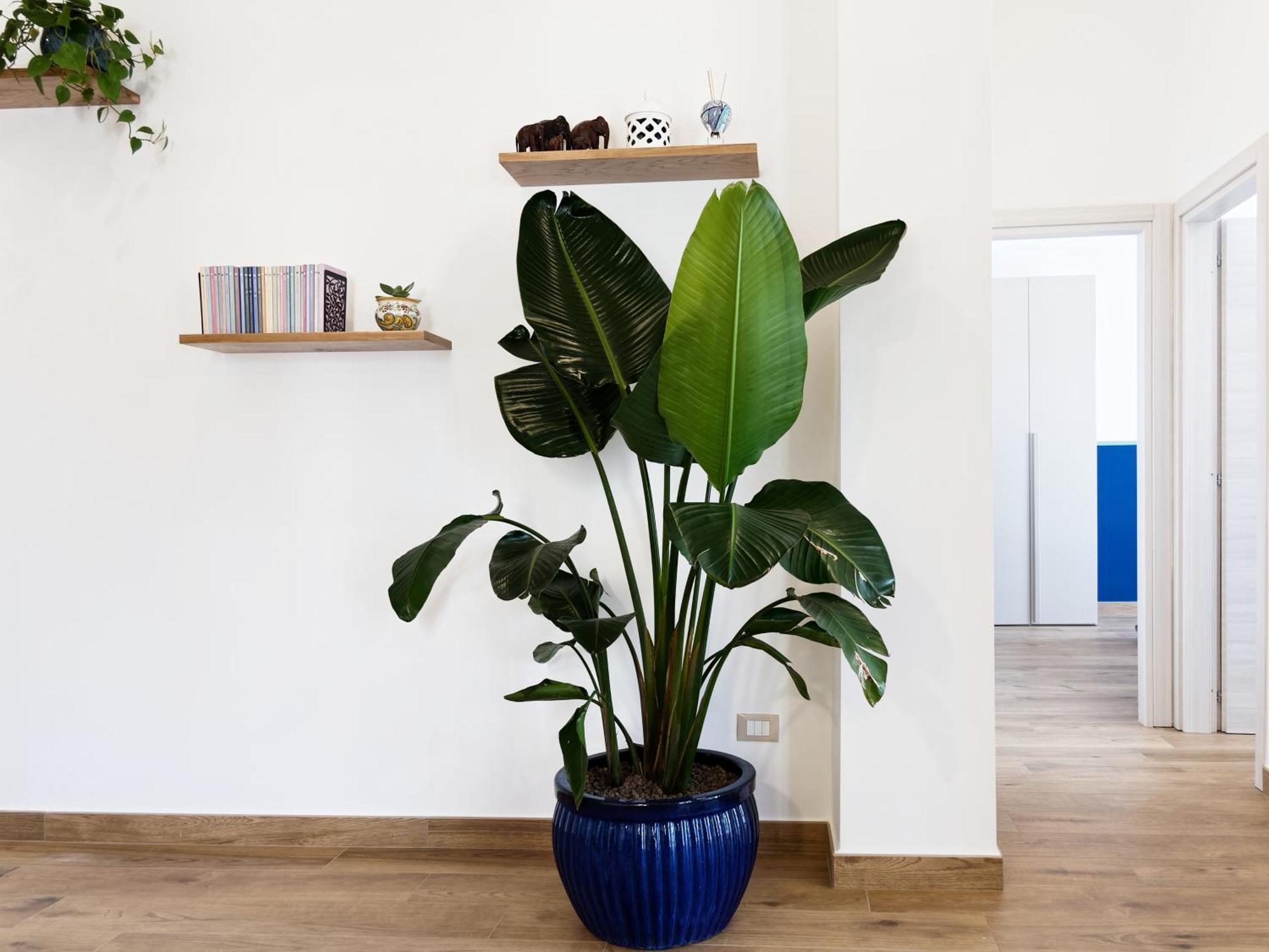 Susanna Boutique Home Vico Equense Exteriér fotografie