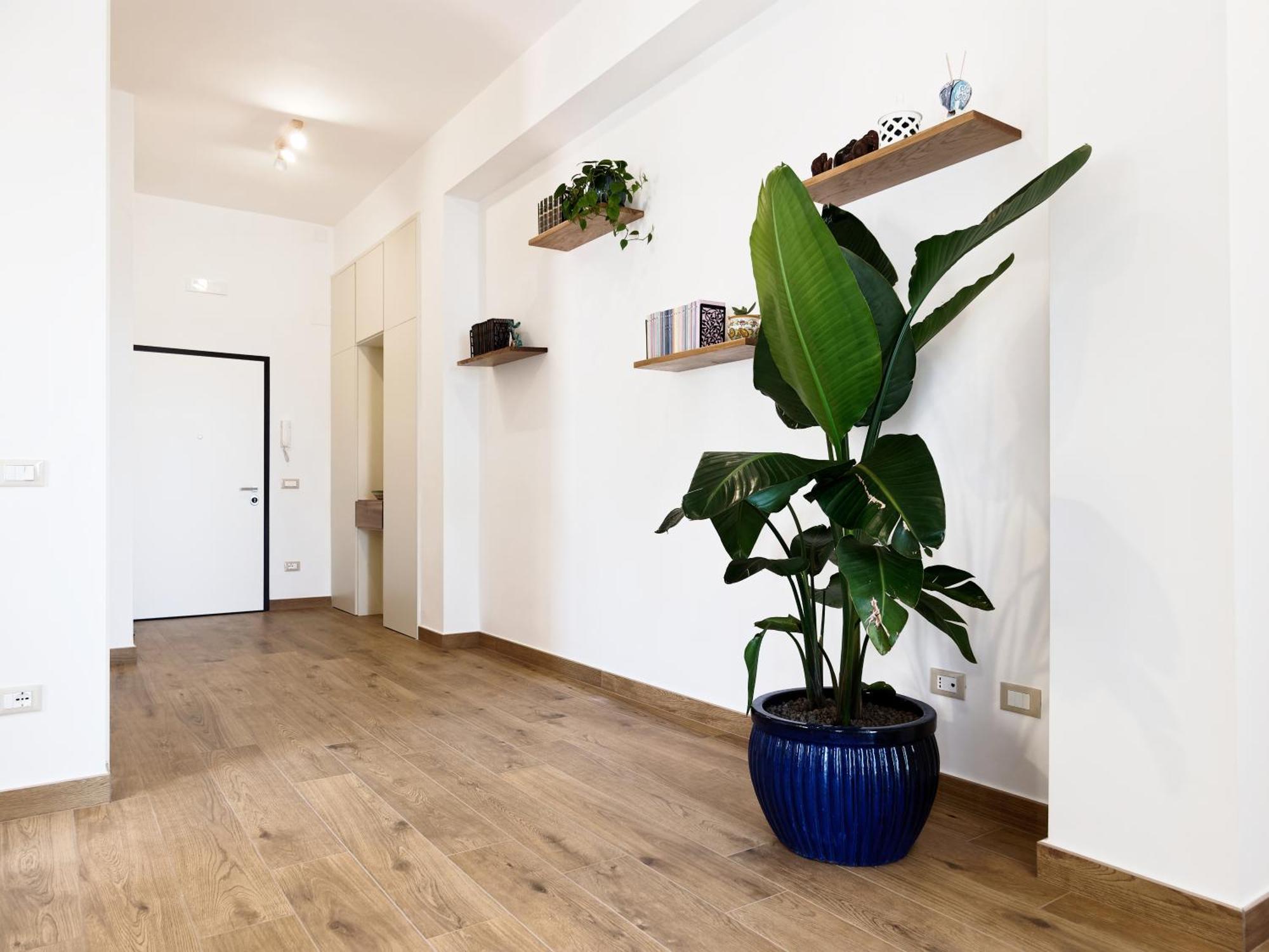 Susanna Boutique Home Vico Equense Exteriér fotografie