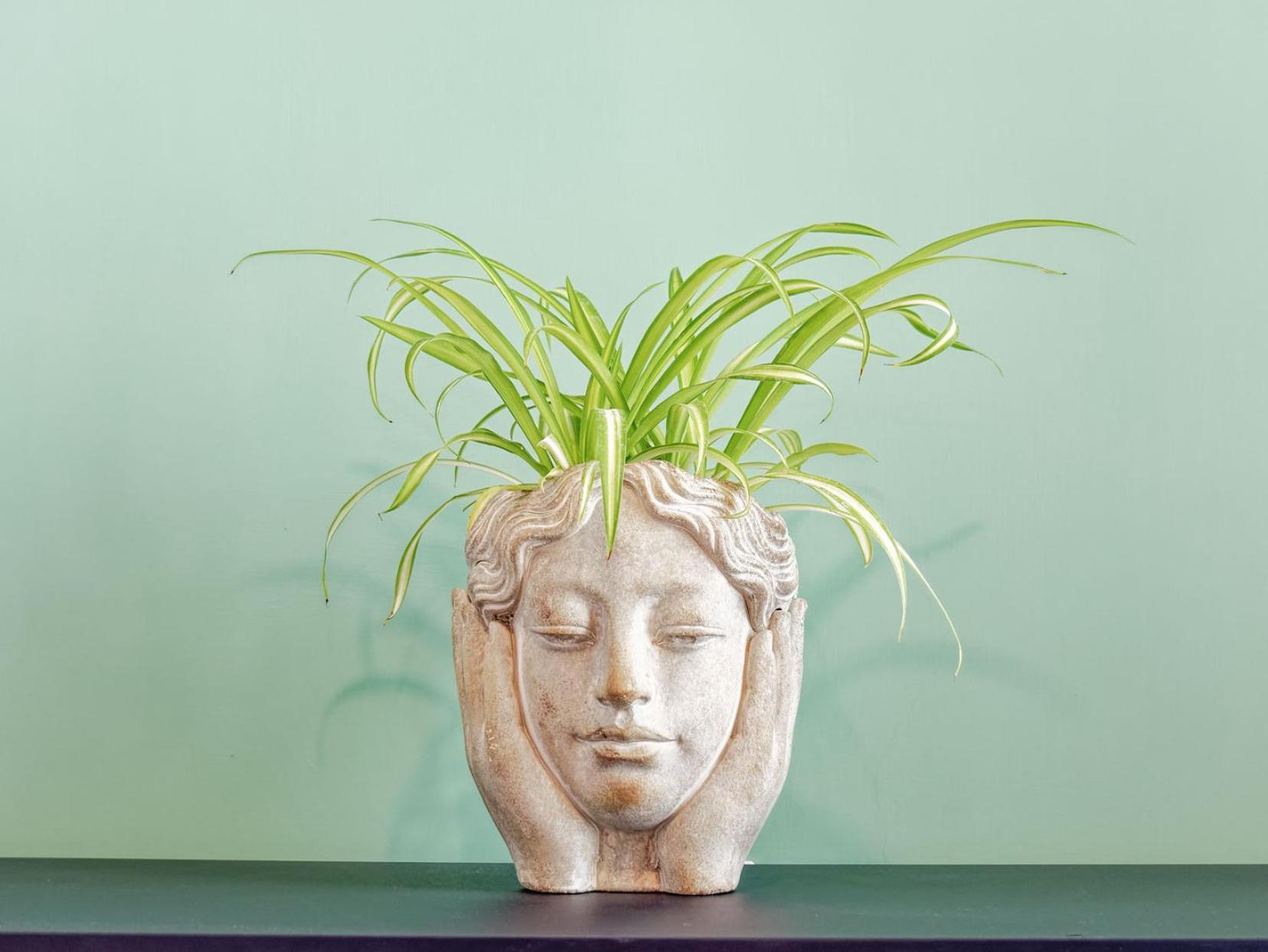 Susanna Boutique Home Vico Equense Exteriér fotografie